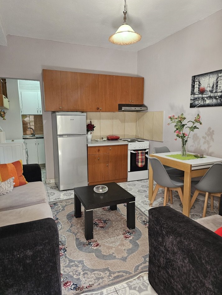 Tirane, jepet me qera apartament 1+1+Aneks+Ballkon Kati 1, 55 m² 360 € (Rruga Rreli)