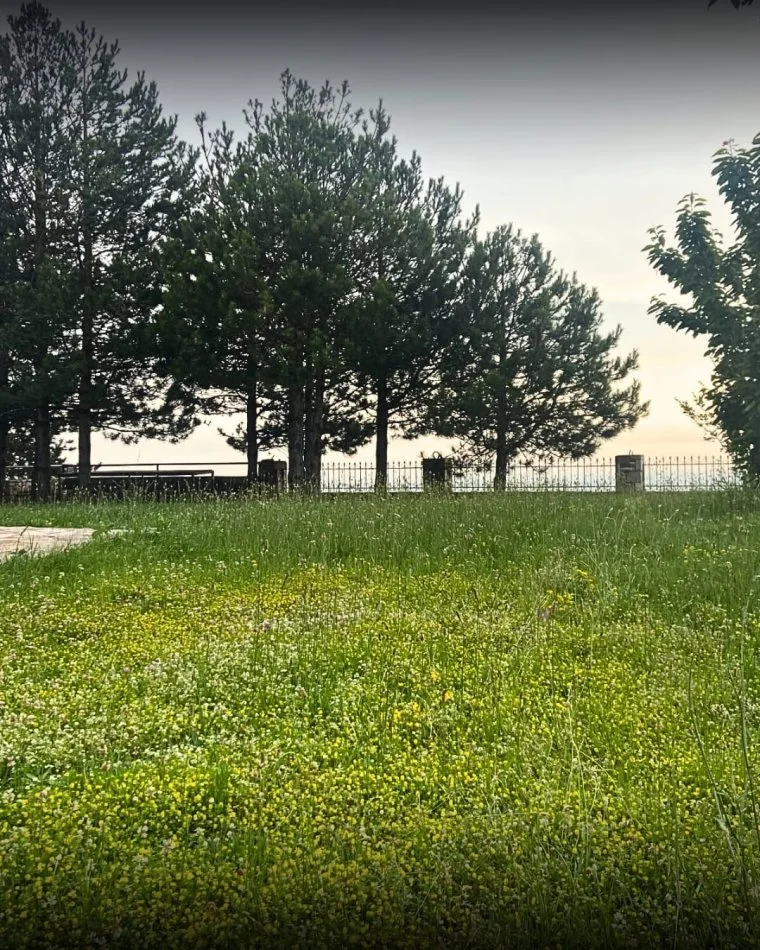 Elbasan, shes Vile 3+1 , 280.000 € (GJINAR ELBASAN)