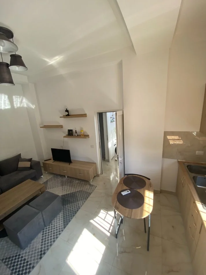 Tirane, jepet me qera apartament 1+1 Kati 0, 50 m² 500 € (Pjeter Budi)