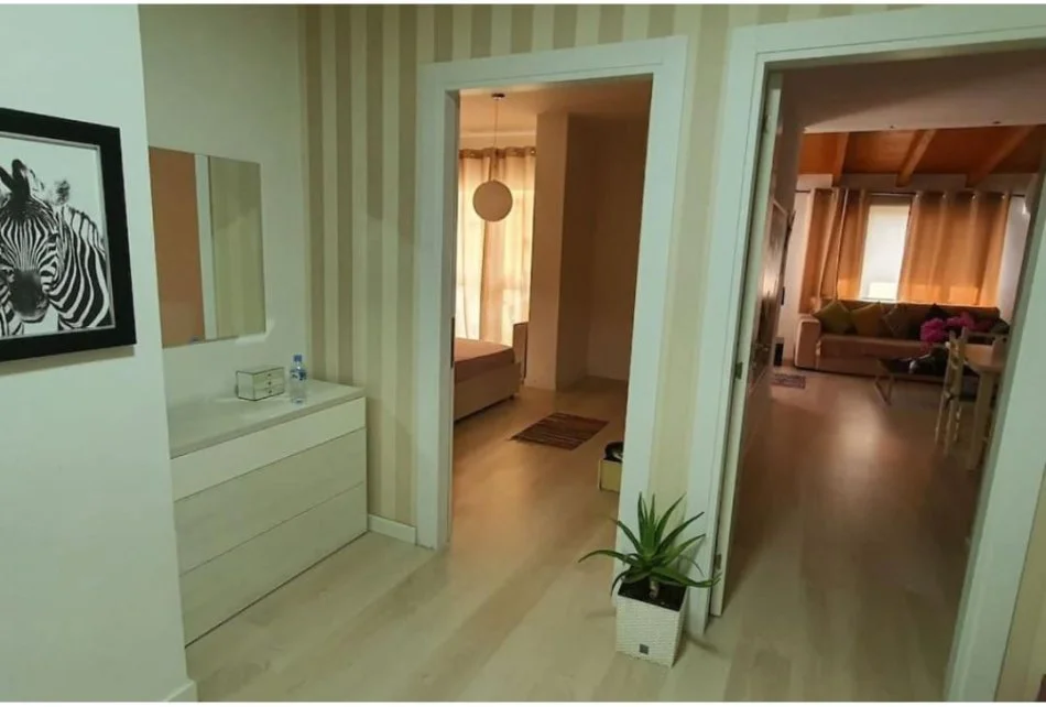 Jap 1+1 te mobiluar, te Selvia, Kati 5, 65 m² 500 €