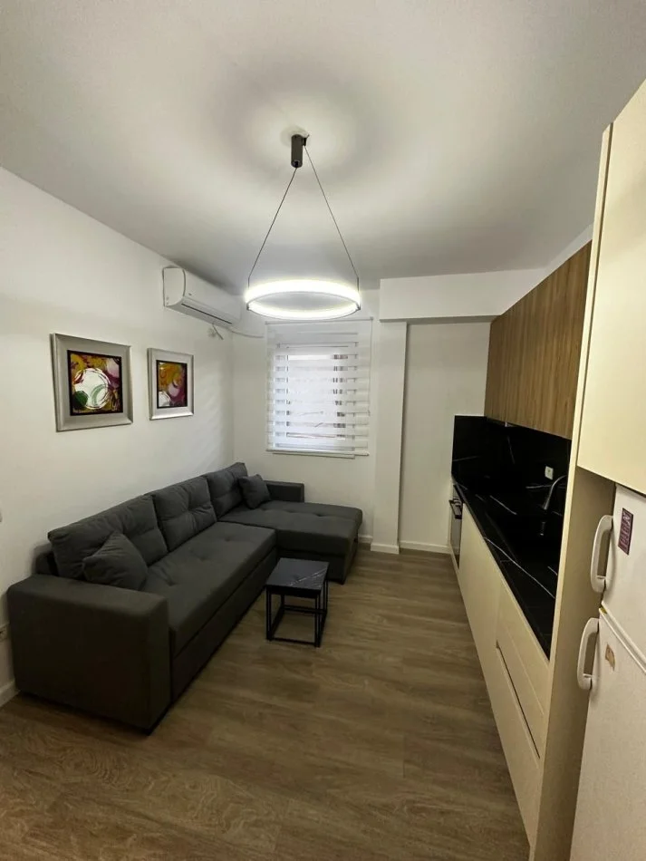 Tirane, jepet me qera Vile 1+1 Kati 0, 450 € 