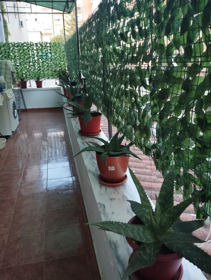 Tirane, jepet me qera garsonier Kati 2, 40 m² 600 € 