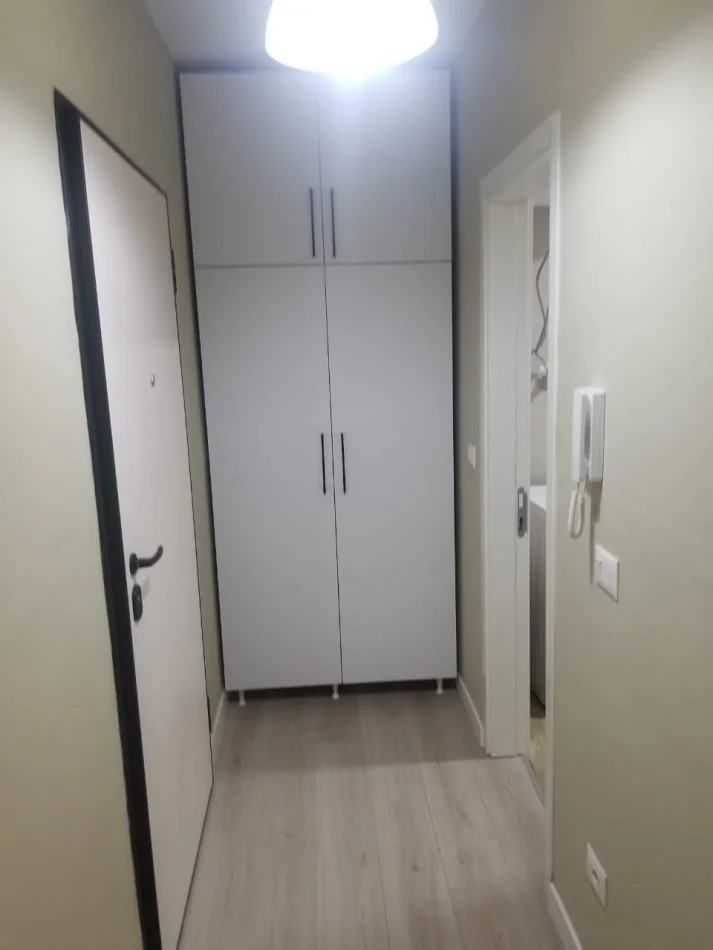 Te Ali Demi jap 1+1+parkim. (Apartament i mobiluar.)