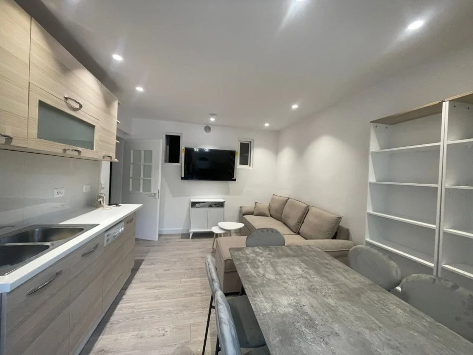 Tirane, jepet me qera apartament 1+1+Aneks+Ballkon Kati 4, 50 m² 550 € (Perball Harry Fultz, Pran Zogut te Zi.)