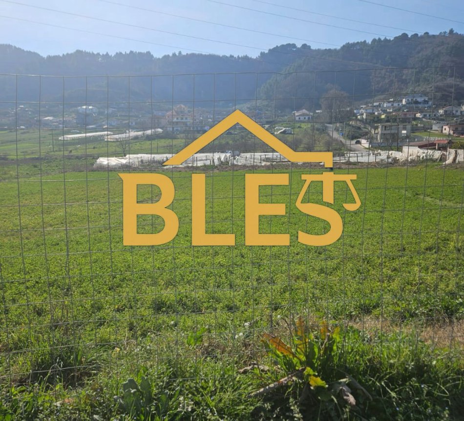 IMG-20251026-WA0001.jpg IMG-20251026-WA0001.jpg