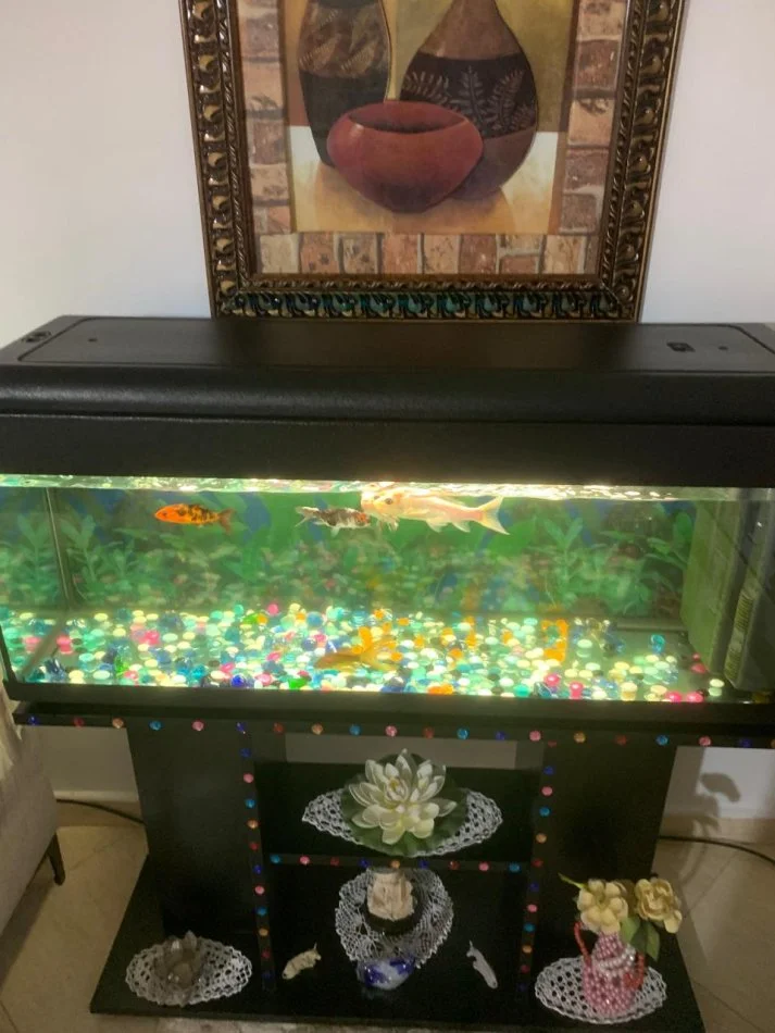 Vlore, shes Akuarium ITALIAN 550 €