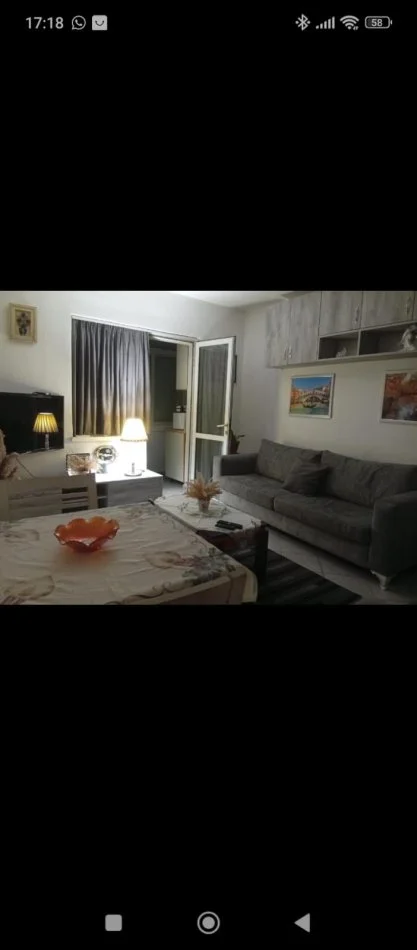 Tirane, jepet me qera Garsioner, Kati 4, 50 m² 600 € (Prane Bar Votra, Brryl, Tirane.)