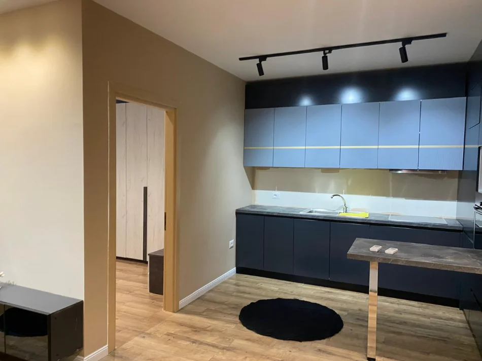 Tirane, jepet me qera apartament 1+1 Kati 1, 450 € 