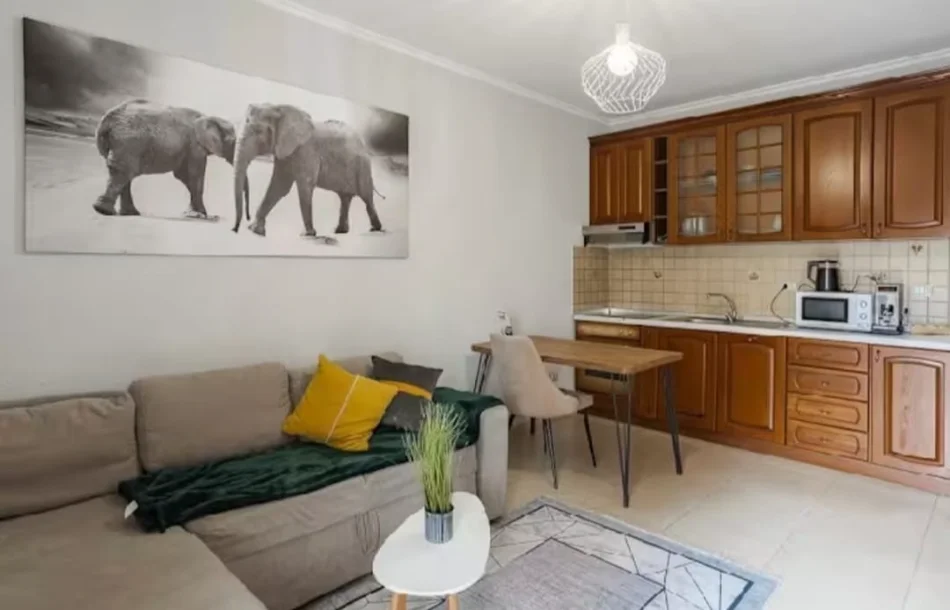 Tirane, jepet me qera apartament 1+1 Kati 1, 70 m² 700 € (Mine peza)