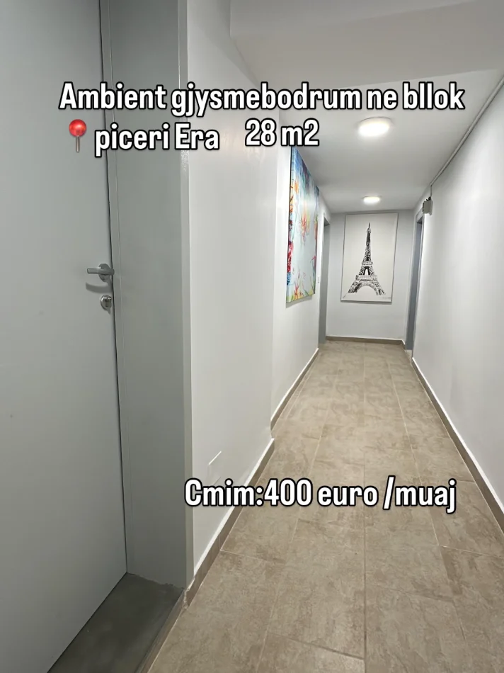 Tirane, jepet me qera ambjent biznesi Kati -1, 28 m² 400 € 