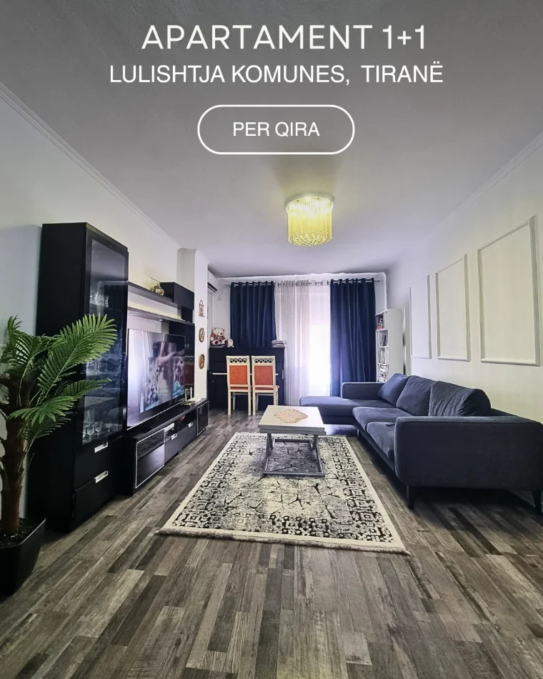 Tirane, jepet me qera apartament 1+1+Ballkon Kati 6, 700 € 