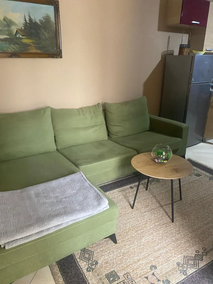 Tirane, jepet me qera shtepi 1+1 Kati 1, 70 m² 540 € (Rruga e Dibrës)