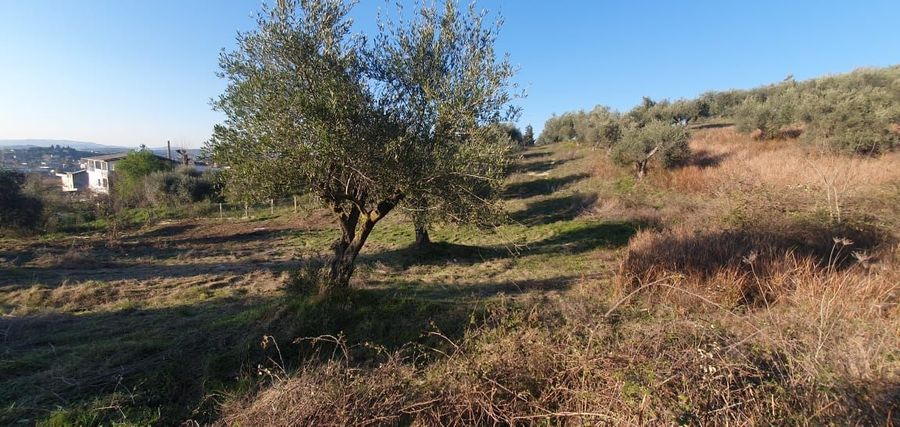 Liste me oferta , 100 m² (Veriu i Shqipërisë)