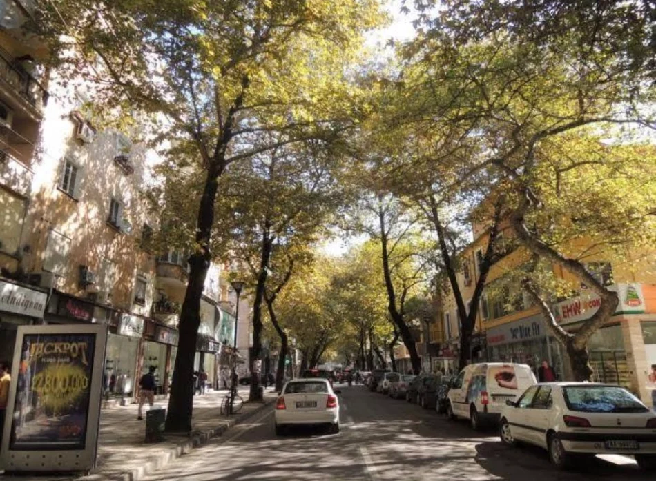 Tirane, jepet me qera apartament 1+1 Kati 4, 55 m² 500 € (Myslym shyri)