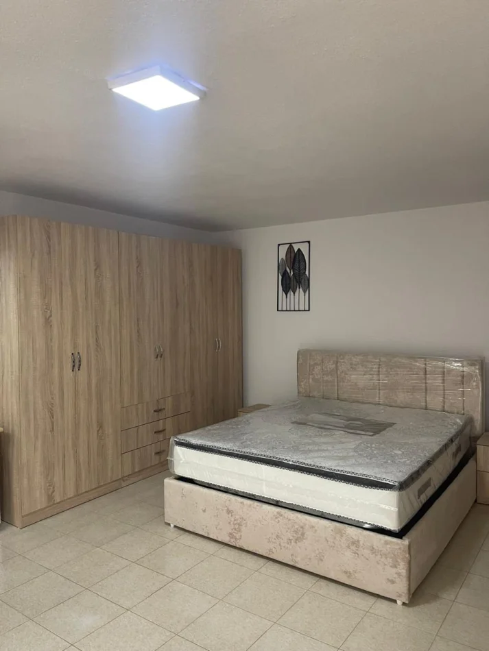 Tirane, jepet me qera apartament 1+1 Kati 1, 60 m² 350 € (Ali Demi)