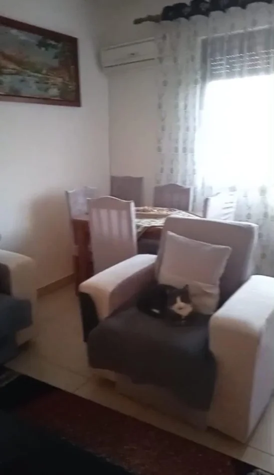 Tirane, jepet me qera apartament 2+1 Kati 3, 73 m² 450 € (Oxhaku)