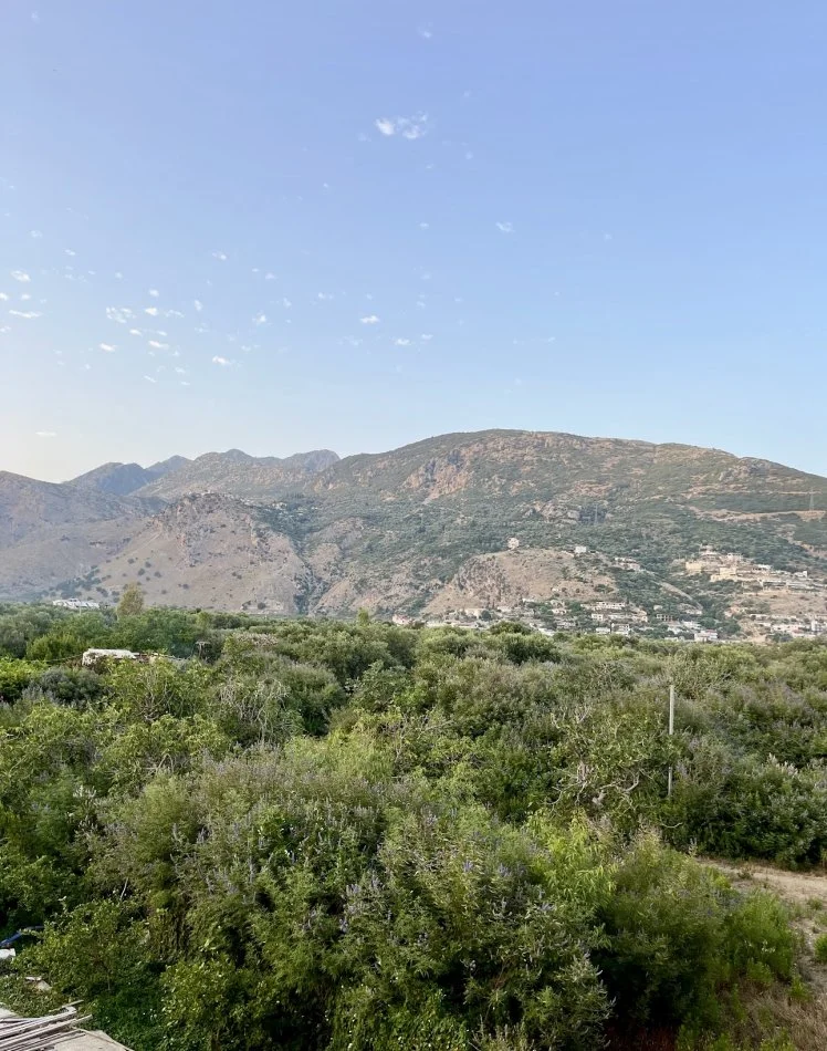 Himare, shitet toke ne bregdet , 2,340 m² 725,000 € (Buze Deti)