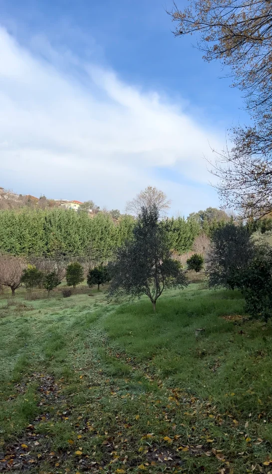 Tirane, shitet toke , 2.000 m² 260.000 € (Prush)