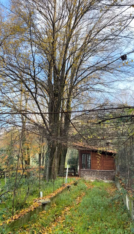 Tirane, shitet toke , 2.000 m² 260.000 € (Prush)