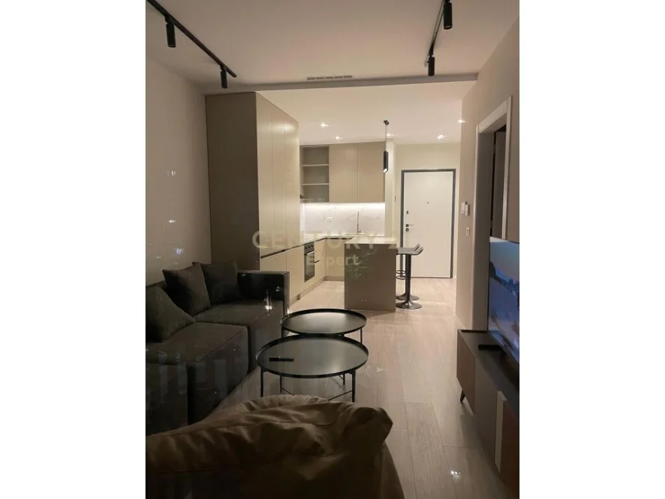 Tirane, jepet me qera apartament 1+1 Kati 3, 55 m² 1.200 € (Tirane)