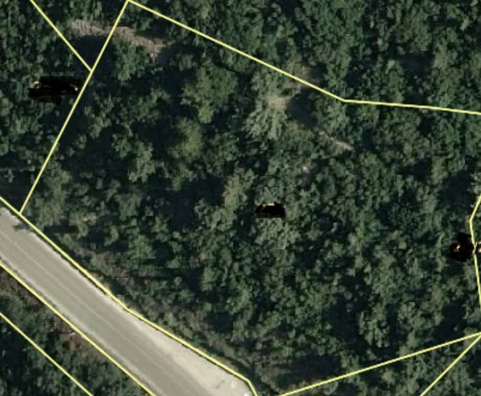 Dhermi - Palase, shitet toke ne bregdet , 4.350 m² 650.000 € (Palas)