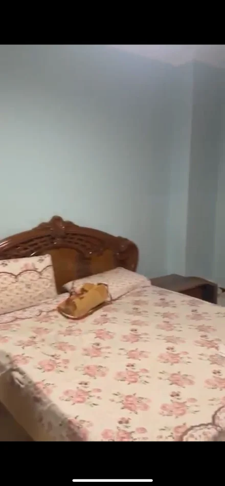 Tirane, jepet me qera apartament 2+1 Kati 3, 80 m² 400 € (Te pallatet e verdha)