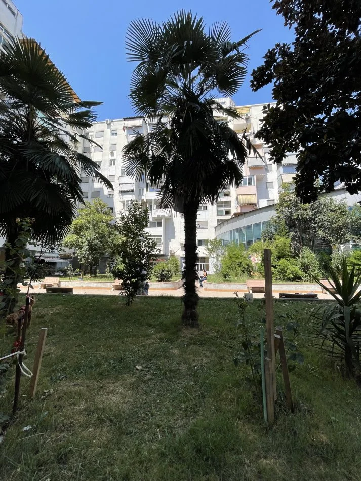 Tirane, shes apartament 2+1+Aneks+Ballkon Kati 1, 150 m² 275.000 € (KOMUNA PARISIT , KIKA 1)