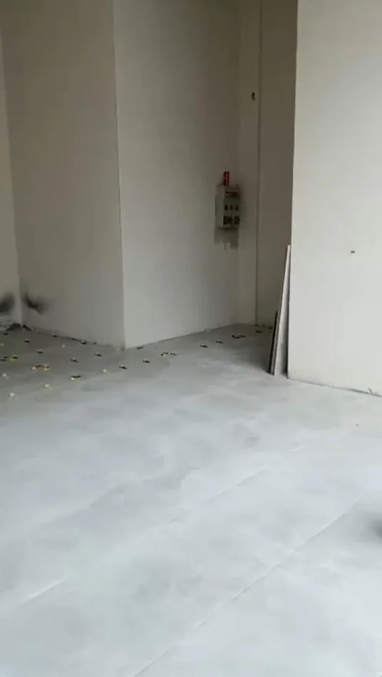 Tirane, jepet me qera ambjent biznesi Kati 0, 55 m² 500 € (Sheshi Shqiponja)