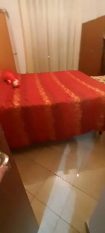 Tirane, jepet me qera apartament 1+1 Kati 2, 60 m² 450 € (Vasil Shanto)