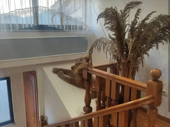 Tirane, jepet me qera apartament 2+1 Kati 3, 80 m² 500 € (Rruga 5 Maji)
