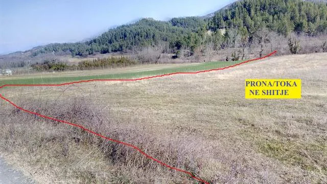 Tirane, Shitet Toke, zonë prferuar afër Tiranës, në krah të kalase së Petrelës, sip 7'700m², Cmimi 55 euro/m² diskutushëm, në luginën e Zaranikes me kalim nga Petrela, e nga Stërmasi / Vishnje.