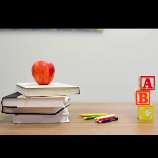 Vlore, ofrojme kurse per lendet shkollore Studim pas shkolle