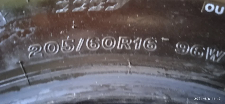 Tirane, shes gome Shiten goma , 40 €