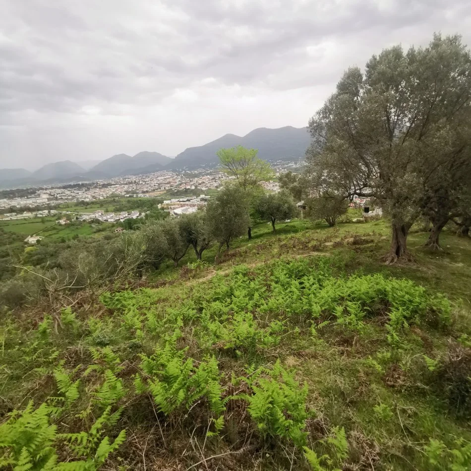 Tirane, toke , 18.500 m² (Mjull Bathore)