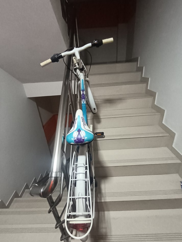 Tirane, shes biciklete per femra Jumpertrek daisy e bardhë 100 €