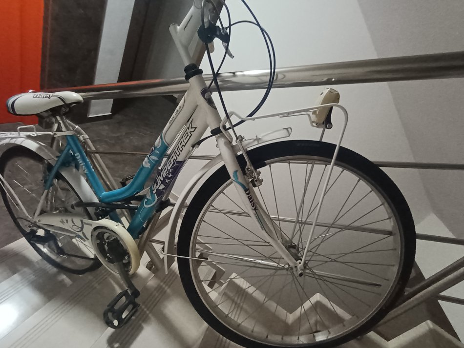 Tirane, shes biciklete per femra Jumpertrek daisy e bardhë 100 €