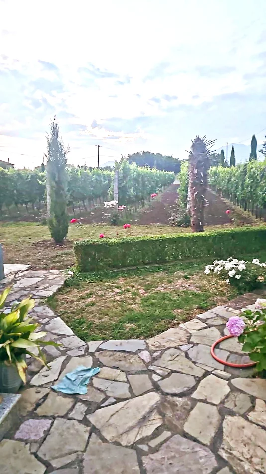 Shkoder, shitet 3+1+Aneks+Ballkon , 5.000 m² 280.000 € 