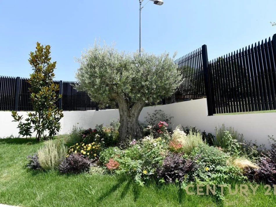 Tirane, jepet me qera Vile 2 Katshe Kati 2, 1.500 m² 