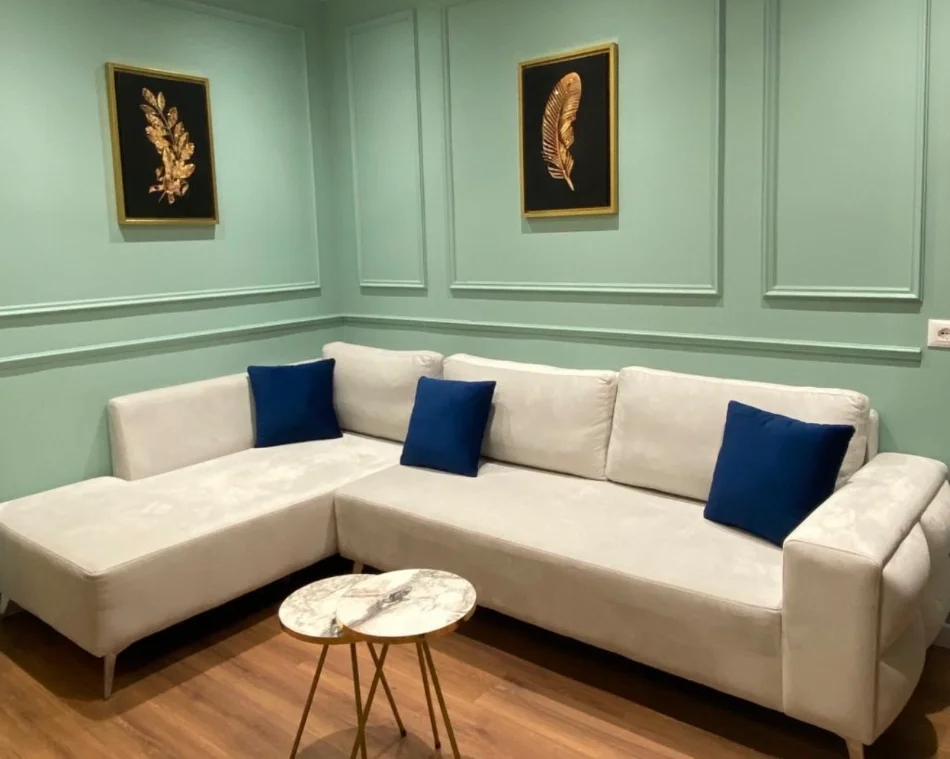 Tirane, jepet me qera 1+1 , 580 € (Rruga mine peza)