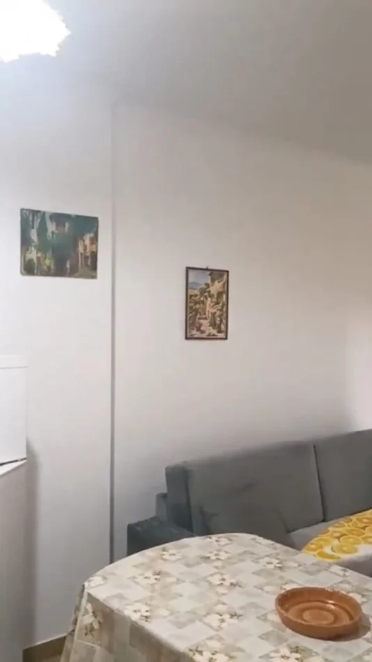 Tirane, jepet me qera apartament 1+1 Kati 3, 54 m² 350 € (Selvia)