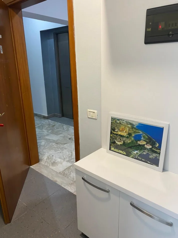 Tirane, jepet me qera apartament 1+1 Kati 0, 35 m² 450 € (Rruga e Kavajës)