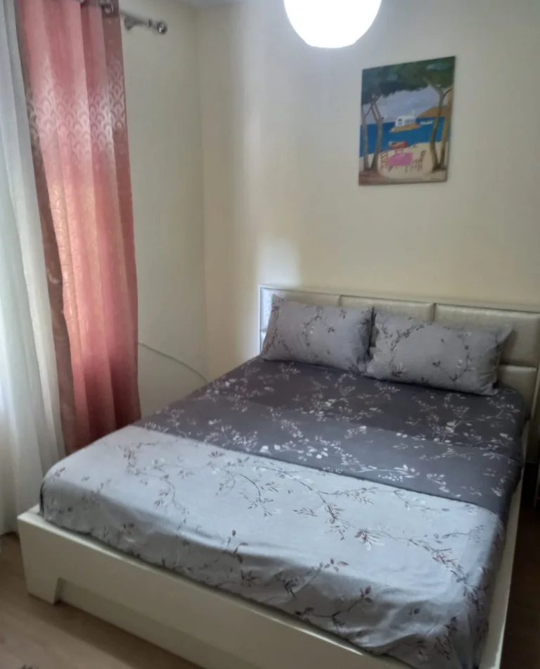 Tirane, jepet me qera apartament 2+1 Kati 2, 70 m² 450 € (Rruga Frosina Plaku)