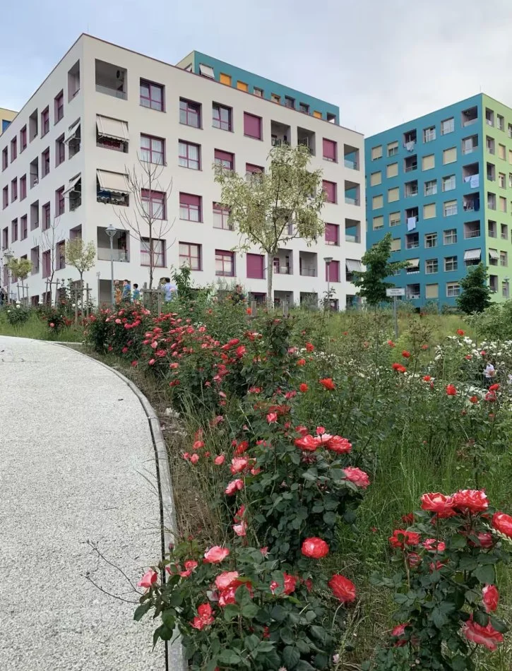 Tirane, jap me qera apartament 1+1+Ballkon Kati 2, 60 m² 500 € (Rr Ali Demi)