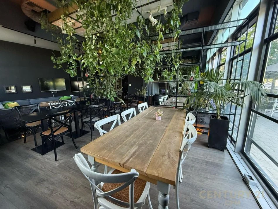 Tirane, shitet bar-kafe Kati 0, 326 m² 79.999 € (Pallati me Shigjeta)