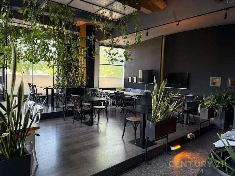 Tirane, shitet bar-kafe Kati 0, 326 m² 79.999 € (Pallati me Shigjeta)