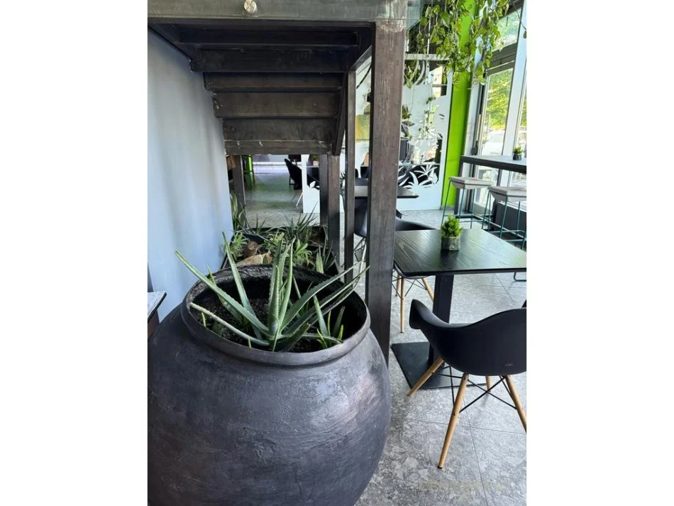 Tirane, shitet bar-kafe Kati 0, 326 m² 79.999 € (Pallati me Shigjeta)