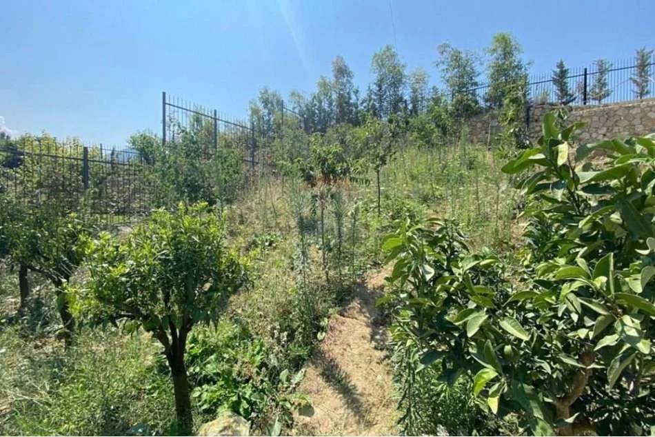 Tirane, jepet me qera Vile 2 Katshe , 500 m² 3.001 € (QIRA VILE TEK SECRET GARDEN!)