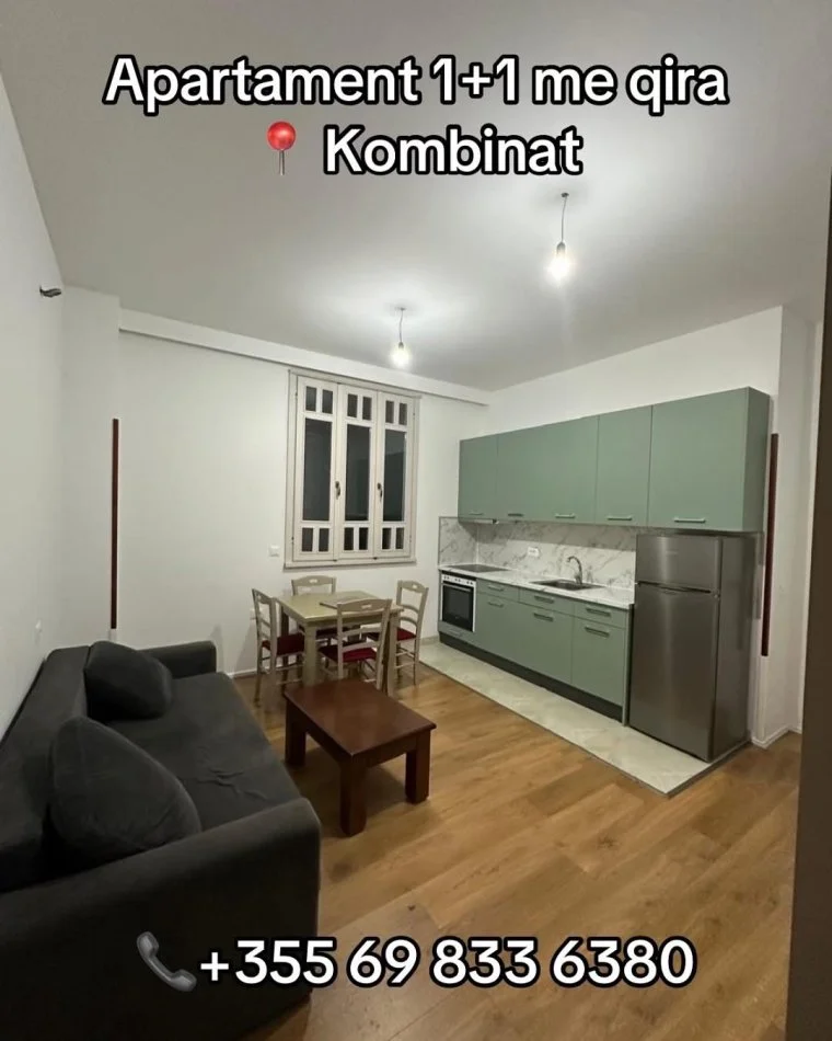 Tirane, jepet me qera apartament 1+1 , (Prane Sheshit Garibaldi)