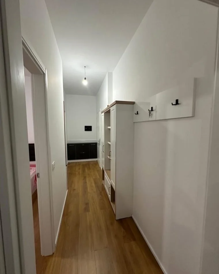 Tirane, jepet me qera apartament 1+1 , (Prane Sheshit Garibaldi)