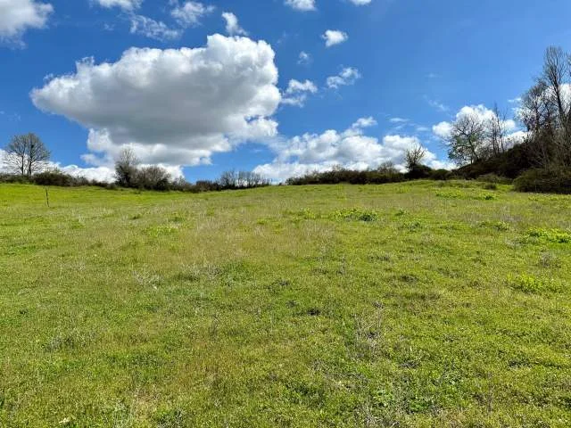 Tirane, shes truall 11.000 m² 950.000 Euro (Lunder afer Rolling Hills)